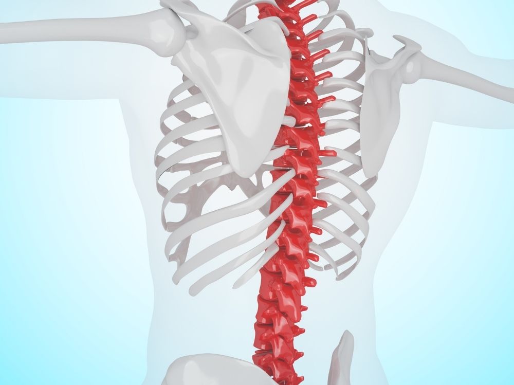 Omurga ve Omurilik Hastalıkları